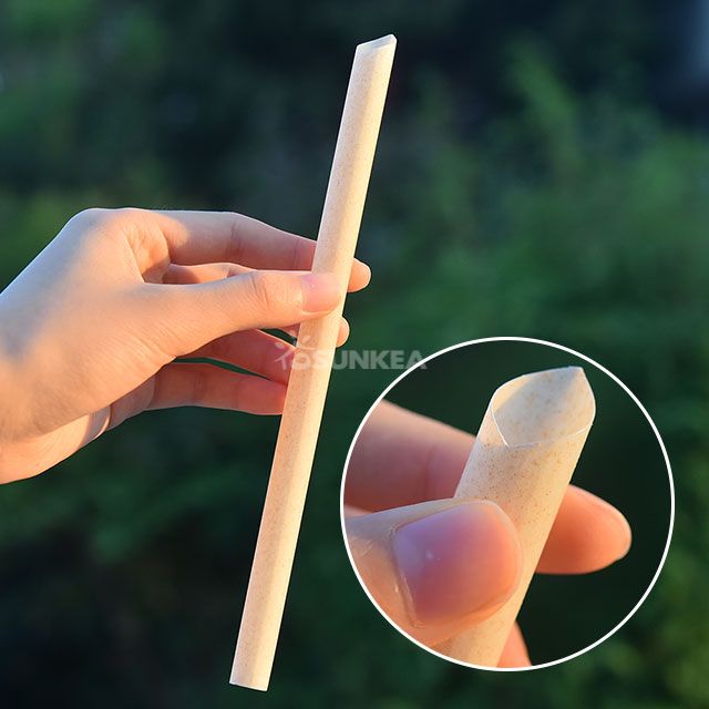 PHA Biobased Sugarcane Fiber Straws