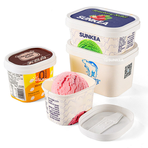 Rectangular Paper Ice Cream Containers with Spoon