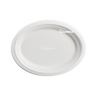 Sugarcane Oval Plate