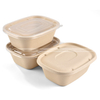 Disposable eco packaging food grade sugarcane pulp lunch box