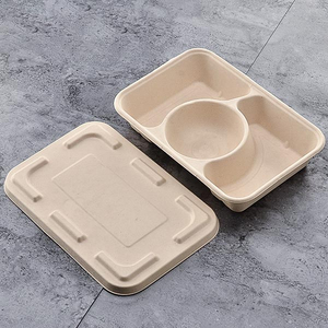 3-compartment Biodegradable Takeaway Food Box with Lid