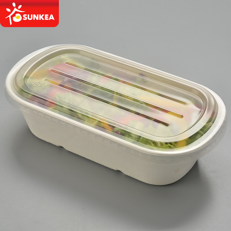 Compostable ecofriendly ecosource leakproof bento lunch box
